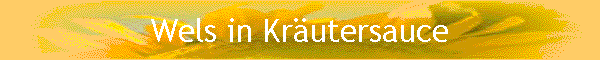 Wels in Krutersauce