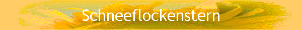 Schneeflockenstern