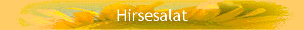 Hirsesalat