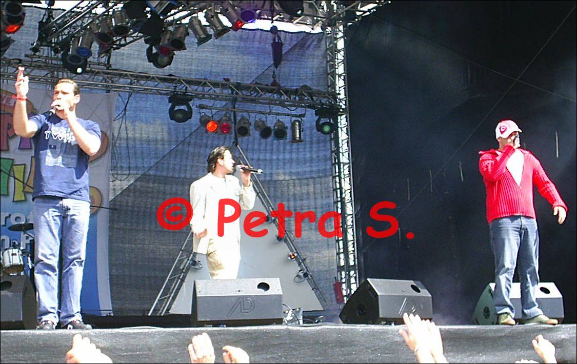 copyright by Petra S.