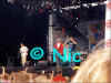 copyright by Nic