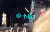 copyright by Nic