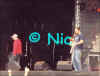 copyright by Nic