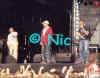 copyright by Nic