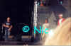 copyright by Nic