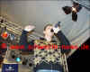 copyright by www.schwerin-news.de