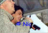 copyright by Nic