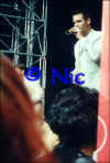 copyright by Nic
