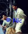 copyright by Nic