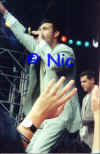 copyright by Nic