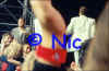 copyright by Nic