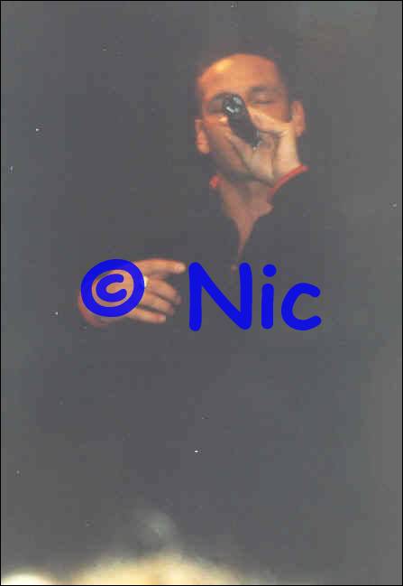 copyright by Nic