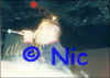 copyright by Nic