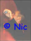 copyright by Nic