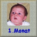 erster Monat - first month