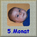 5.Monat