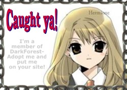 Text?