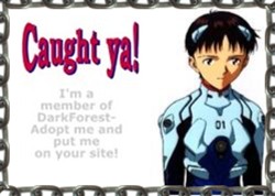 Text?