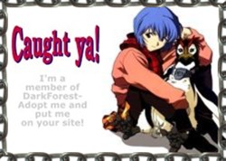 Text?