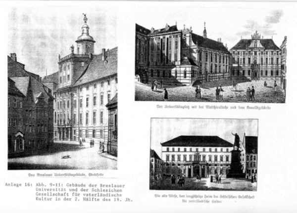 Universität Breslau, Konviktgebäude, Alte Börse
