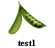 test1