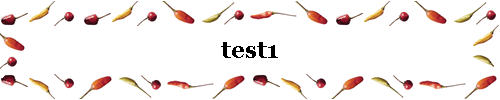test1