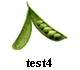 test4