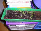PIC00004.jpg (76333 Byte)
