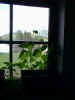 PIC00006.jpg (42969 Byte)