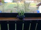 PIC00065.jpg (44846 Byte)