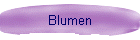 Blumen