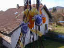 PIC00009.jpg (81763 Byte)