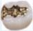 Inlay_Gold