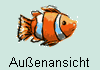  Auenansicht 
