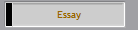 Essay