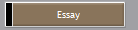 Essay