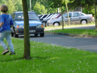 Fahrer Nr.5
