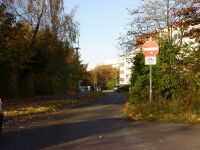 Bild Nr.7