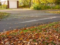 Bild Nr.9