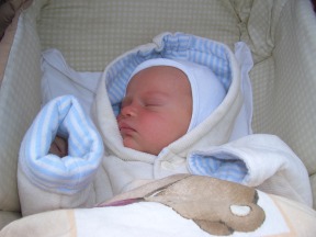 Vivien