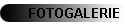 FOTOGALERIE