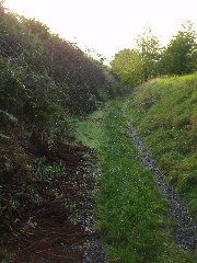 Hohlweg