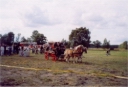 Jubilaeum113.jpg