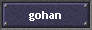 gohan