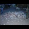 DSC01028.JPG
