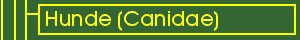 Hunde (Canidae) - Taxonomie