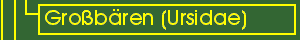 Grobren (Ursidae) - Taxonomie