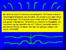 6.jpg (122354 Byte)