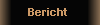 Bericht