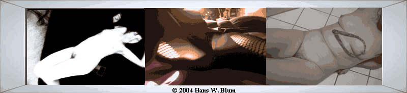 Zu den Erotikgalerien 1 - 3 � 2004 Hans W. Blum